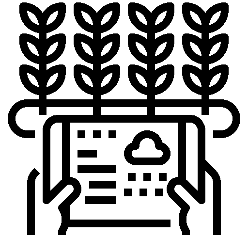 3063633